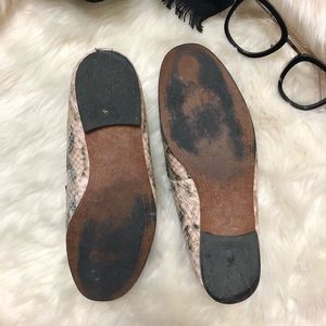 Sam Edelman | Shoes | Sam Edelman Snake Print Leather Loafers | Poshmark